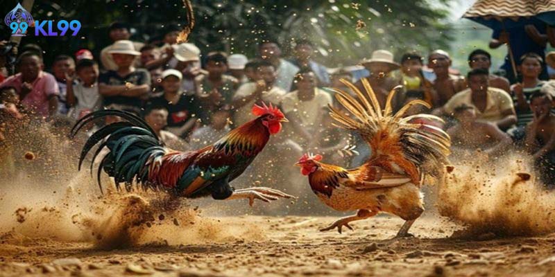 Loại hình game phù hợp với từng người